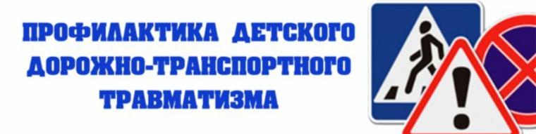 Профилактика ДДТТ.